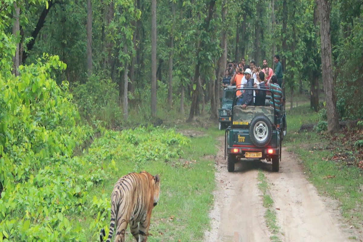 बांधवगढ़ राष्ट्रीय उद्यान