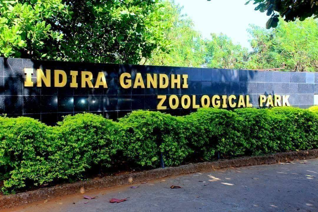 भारत के मशहूर चिडिय़ाघर...बच्चों के साथ घूमे