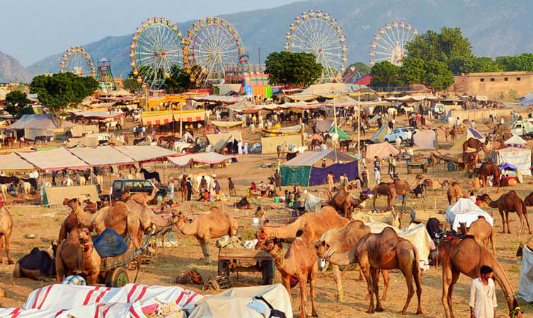 दुनियाभर में मशहूर राजस्थान का पुष्कर मेला शुरू, 8 नवंबर तक आयोजित होगा