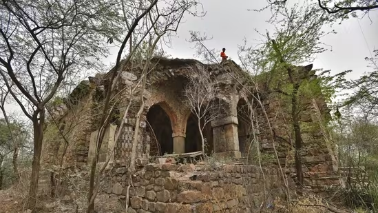 हॉन्टेड सैर