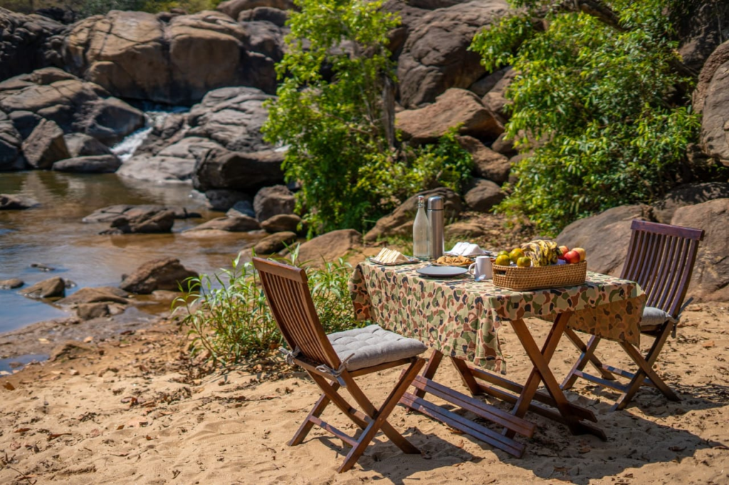 Riverwood Forest Retreat: Where Serenity Meets Adventure in Kanha