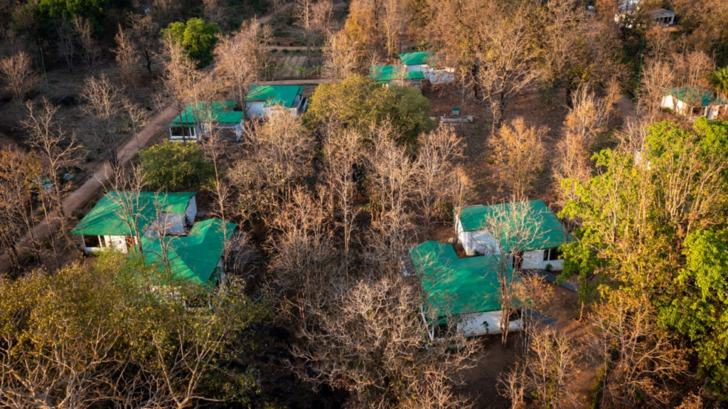 Riverwood Forest Retreat: Where Serenity Meets Adventure in Kanha