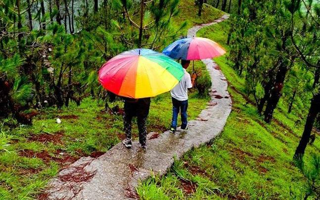 बरसात में प्रकृति की सुंदरता आपके लिए न बन जाए आफत