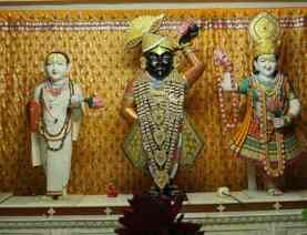 भगवान वल्लभाचार्य का प्राकट्य स्थल चम्पारण बनेगा पर्यटन स्थल