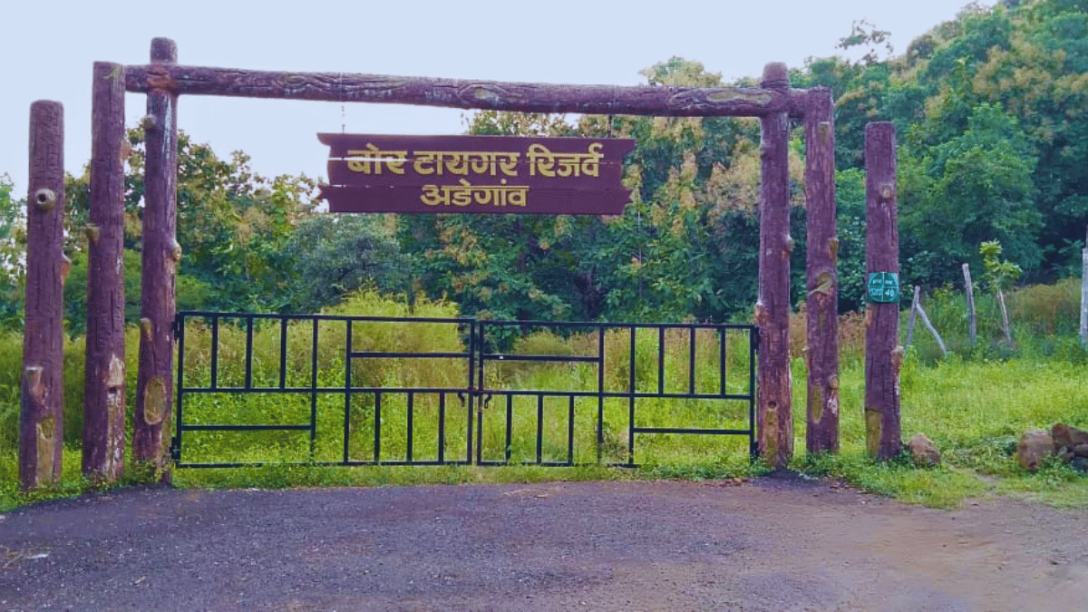 Exploring the Depths of India's Smallest Tiger Reserve: Bor Tiger Reserve