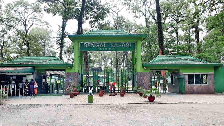 "North Bengal Animals Park debuts Lion Safari."
