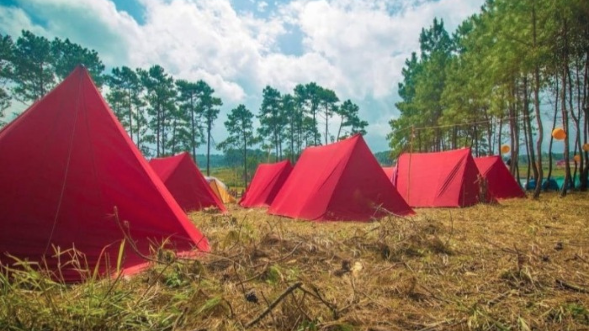 Meghalaya's Highly Anticipated Hills Festival 2023 Set to Kick Off from December 1