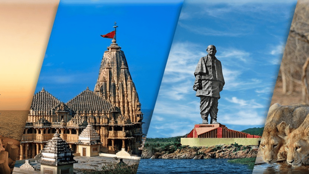 "Gujarat Names 'Ghol' State Fish - Valuable!"