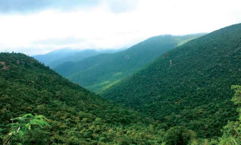 Chamarajnagar 