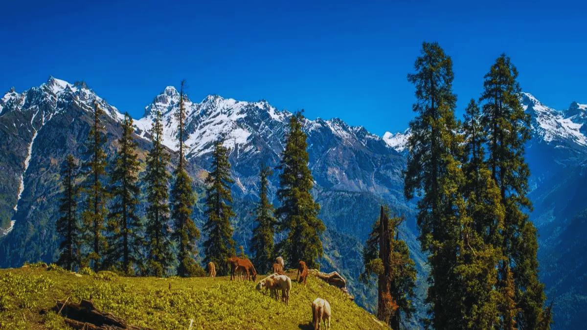 Explore Himachal's Charming Villages in Winter!