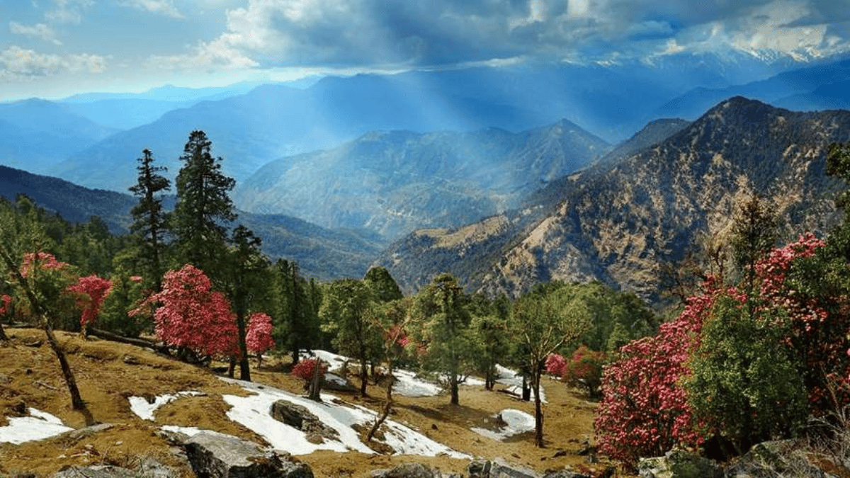 Unconventional New Year Getaways in Proximity to Delhi
