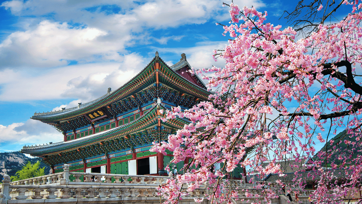 South Korea Unveils Two New Visas
