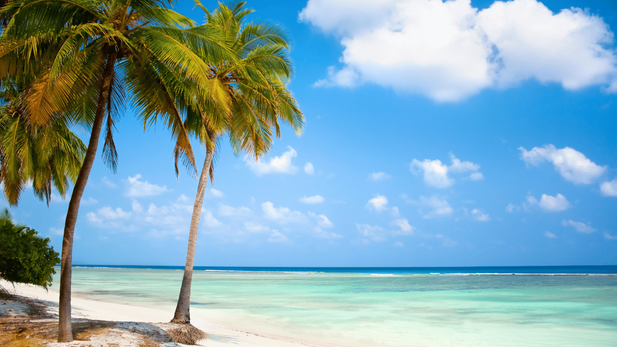 Lakshadweep: A Tropical Paradise Outshining the Maldives