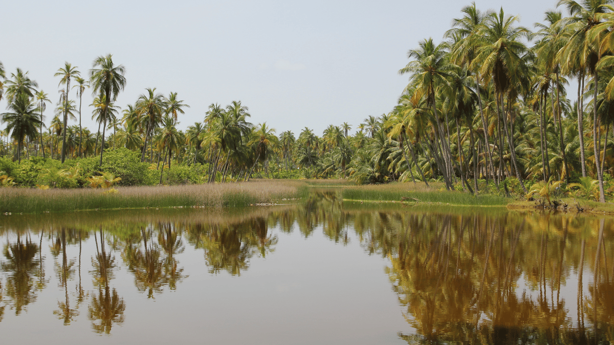 Tata Group Unveils Ambitious Plans for Two Taj Resorts in Lakshadweep