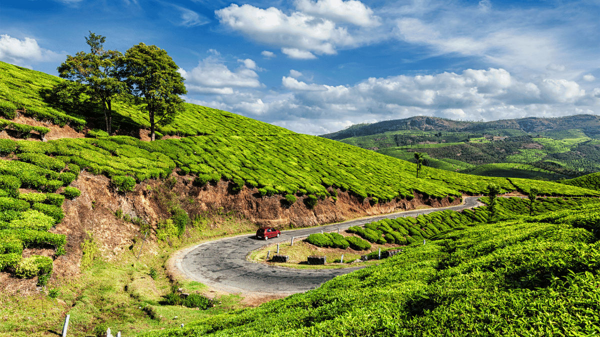 UAE to Assist Kerala in Establishing Tourism Township