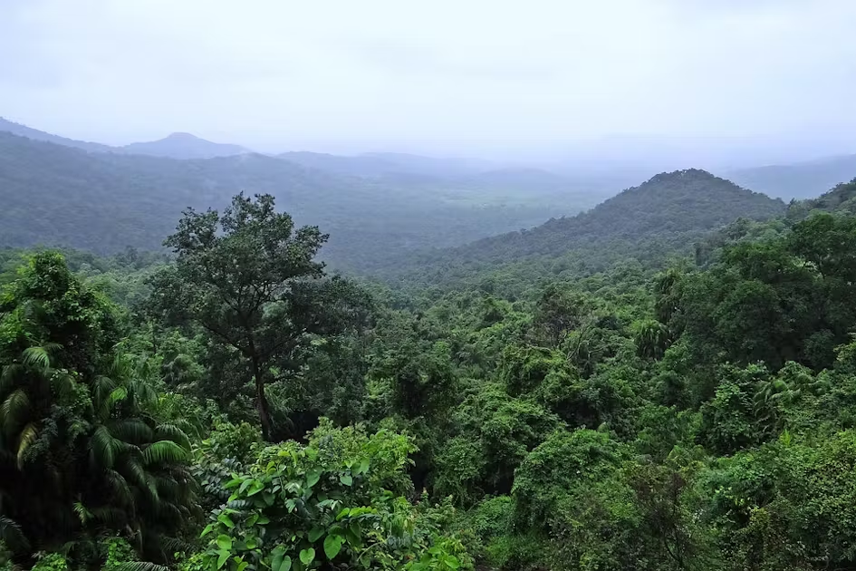 7 Reasons Why March is the Best Time for Wildlife Adventures in India