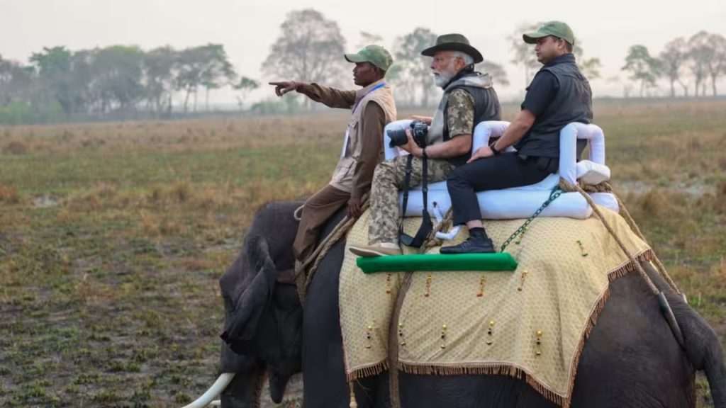 Discovering the Enchantment of Kaziranga National Park
