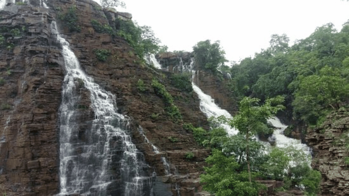 Exploring the Marvels of Nature: Kanger Valley National Park in Chhattisgarh