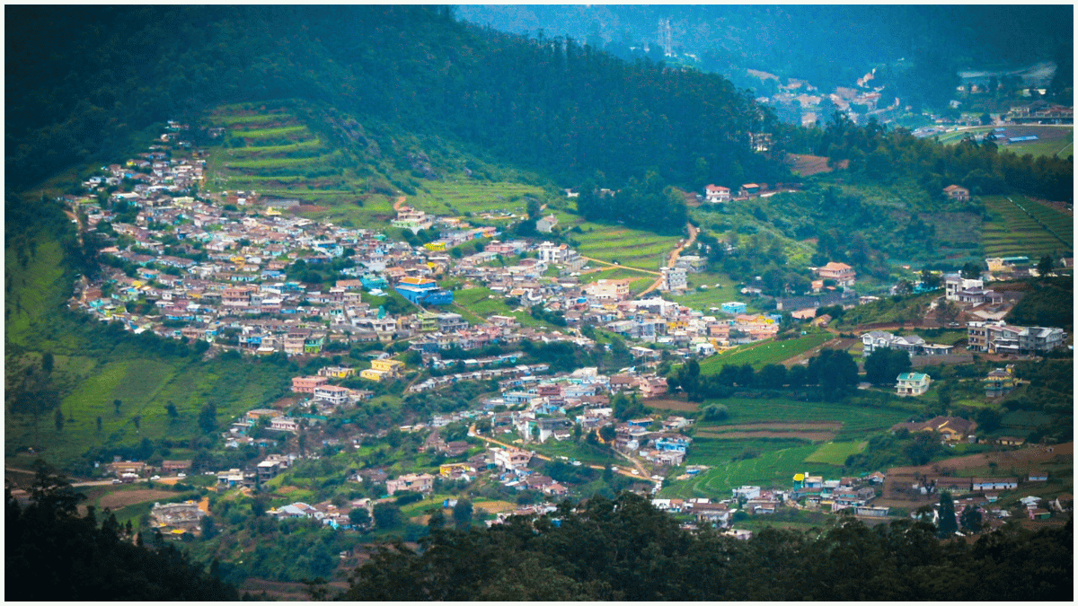 Ooty Flower Festival 2024 Blossoms from May 17th