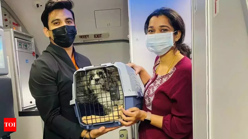 Akasa Air Expands Pet carriage Policy: Weight Limit Increased to 10 kg