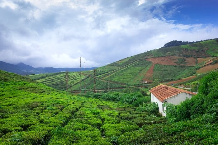 Bengaluru to Coorg
