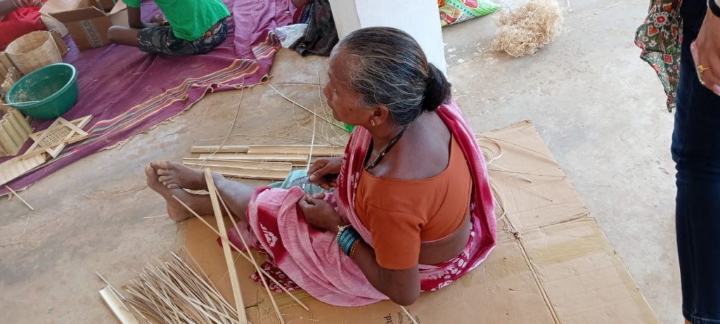 सिरपुर विशेष क्षेत्र विकास प्राधिकरण (साडा) द्वारा एक सहयोगात्मक प्रयास