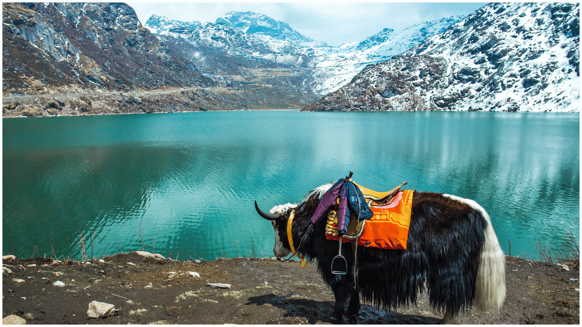 Sikkim Tourism Booms: Anticipates 1.2 Million Visitors by Year's End