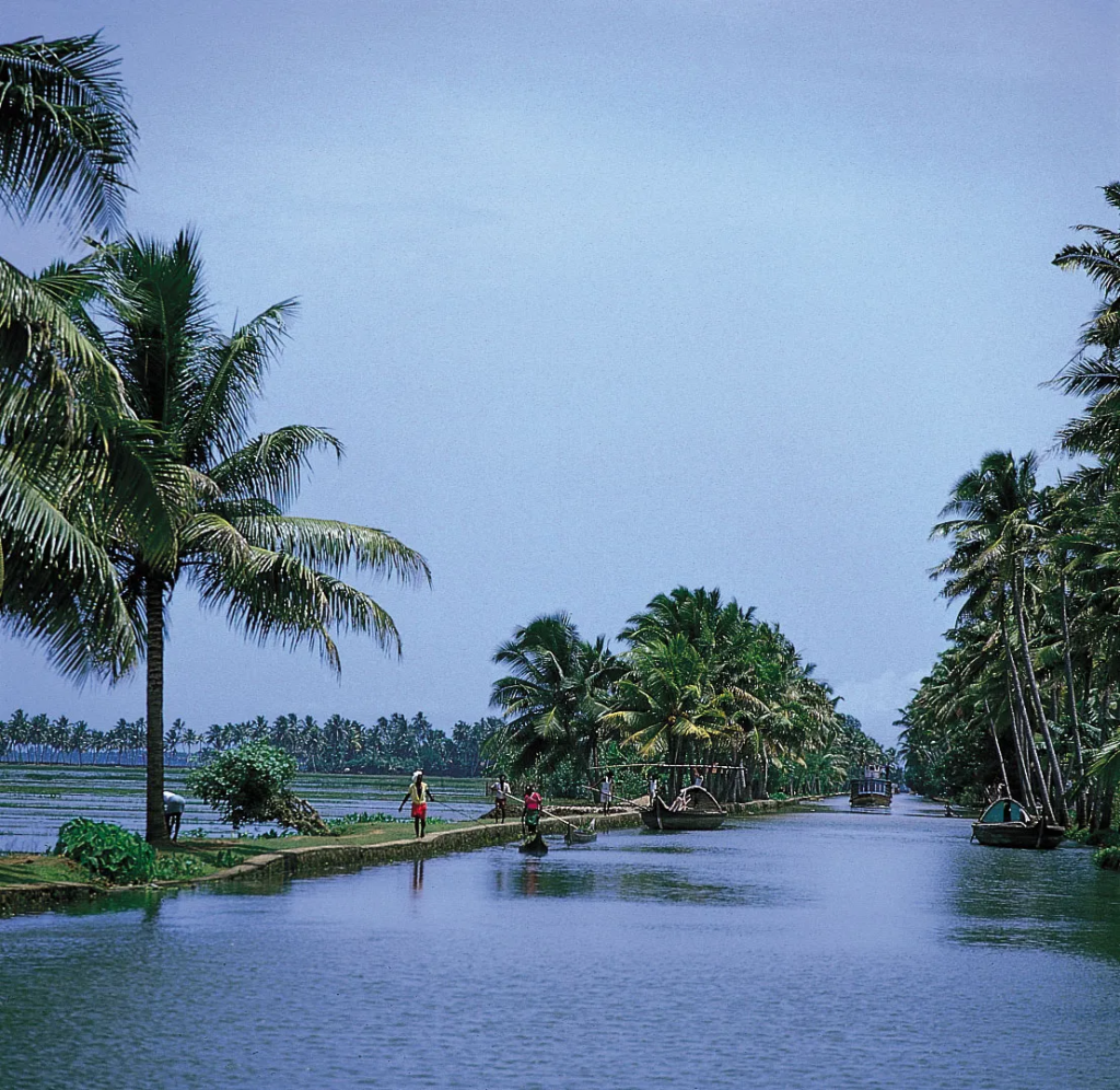 Dive into the Champakkulam Boat Race 2024