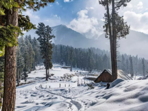 Kashmir Anticipates Record-breaking Tourists Surge in 2024!