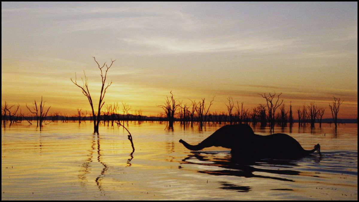 Top 5 Artificial Lakes That Rival Nature's Best