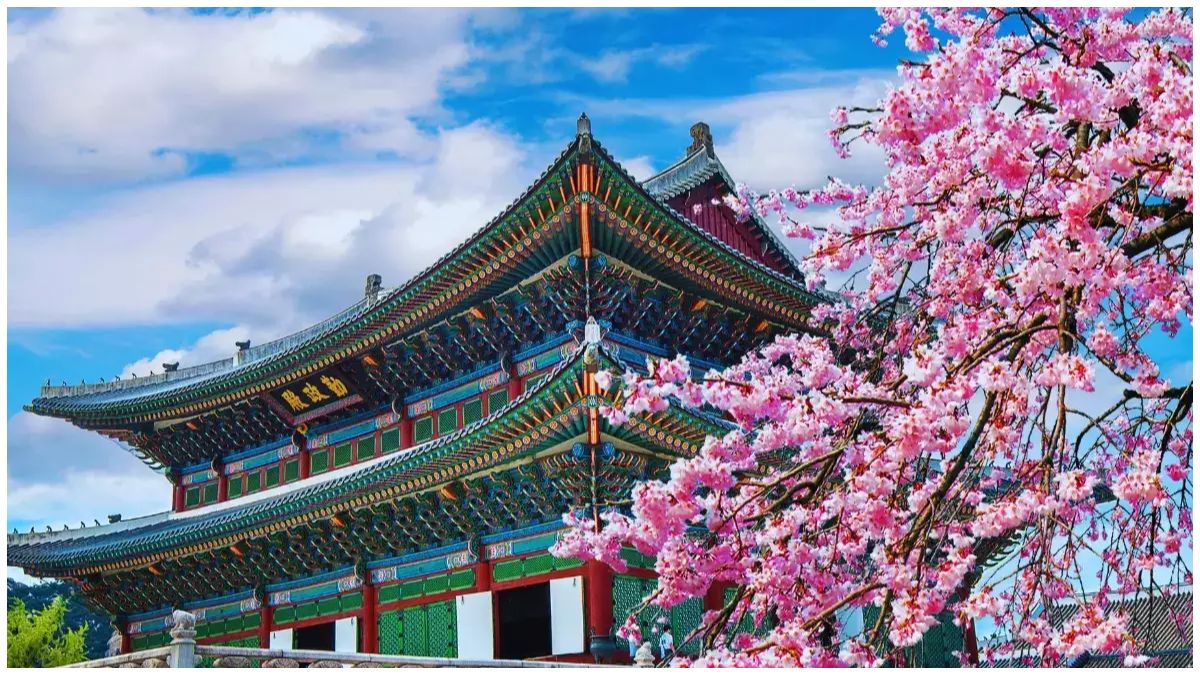Seoul, South Korea: Must-Do Experiences and Ideal Visiting Seasons