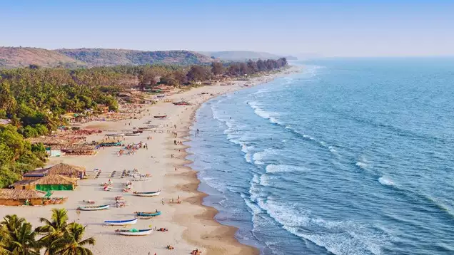 Goa’s Beaches in Peak Season