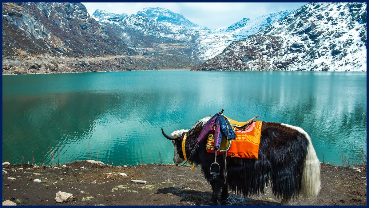 Discover the Magic of Sikkim: 5 Reasons to Visit