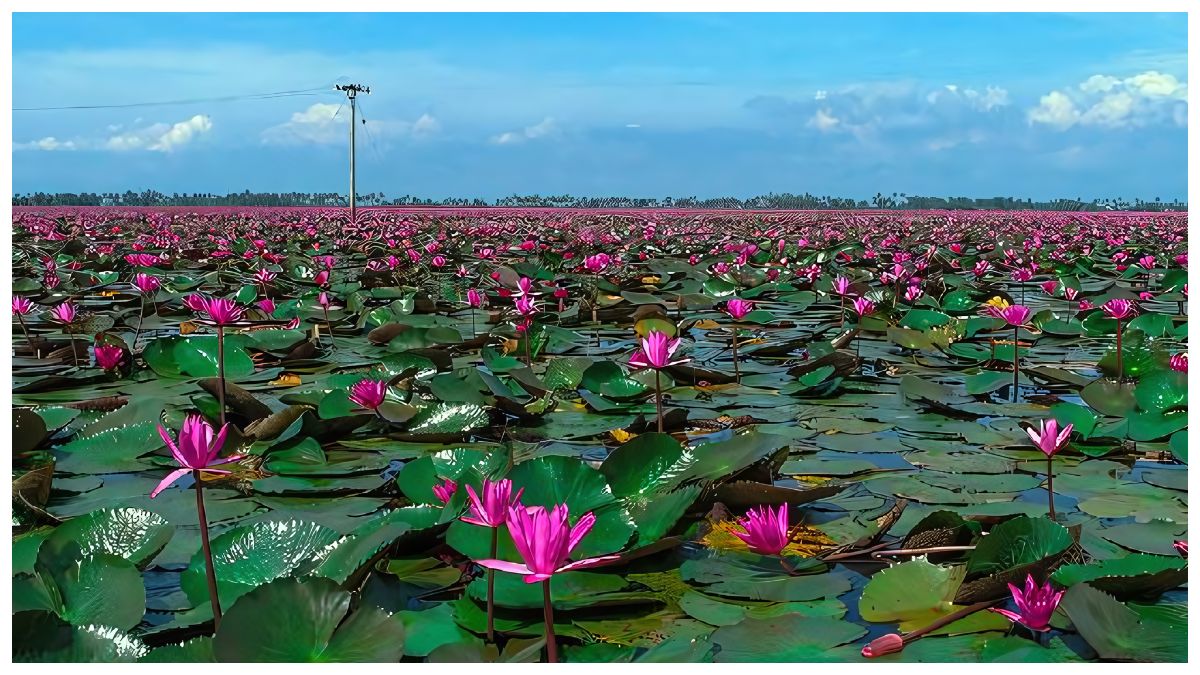 Discover Malarickal: Kerala's Hidden Gem