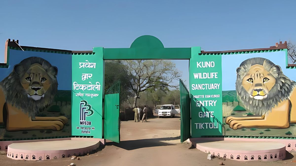 Kuno National Park Reopens in Madhya Pradesh