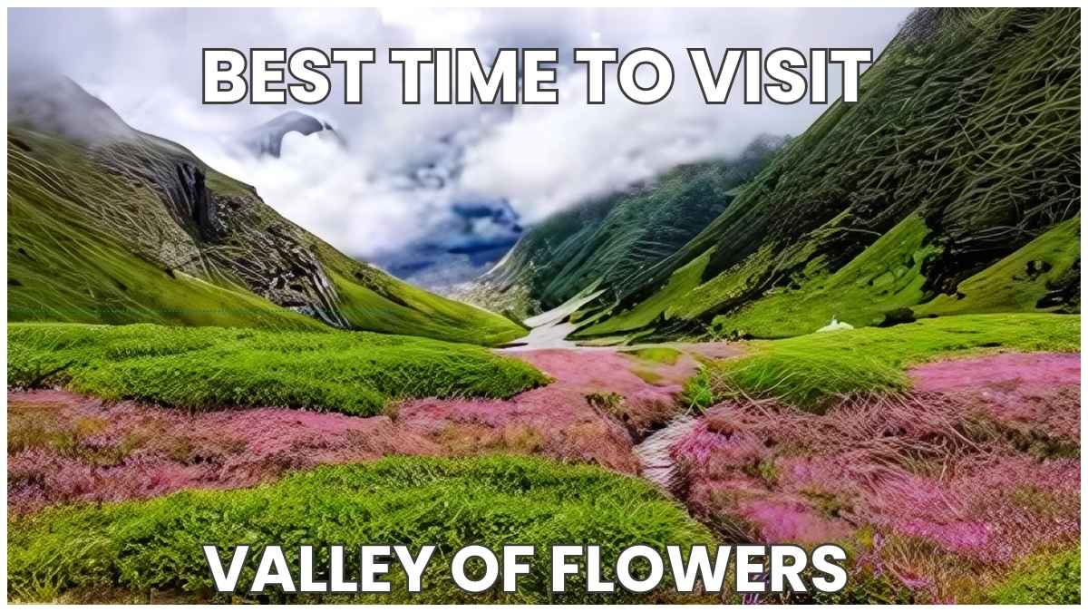 Best Time to Visit the Valley of Flowers, Uttarakhand