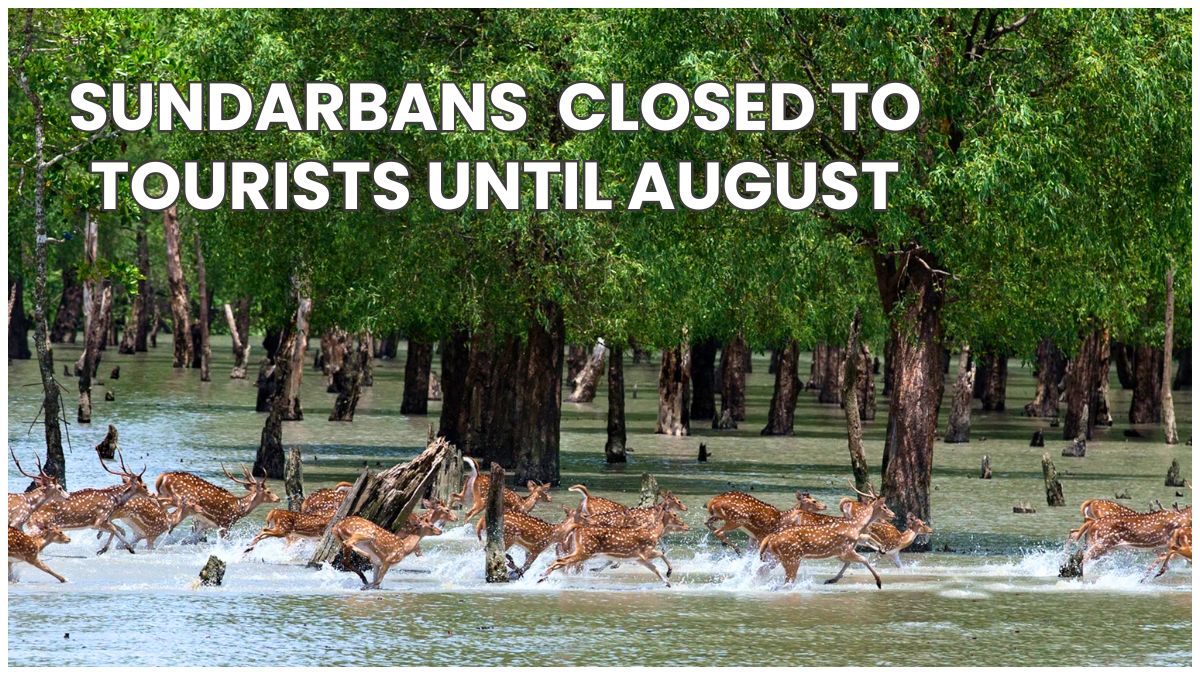 Sundarbans (Bangladesh Side) Closed to Tourists Until August