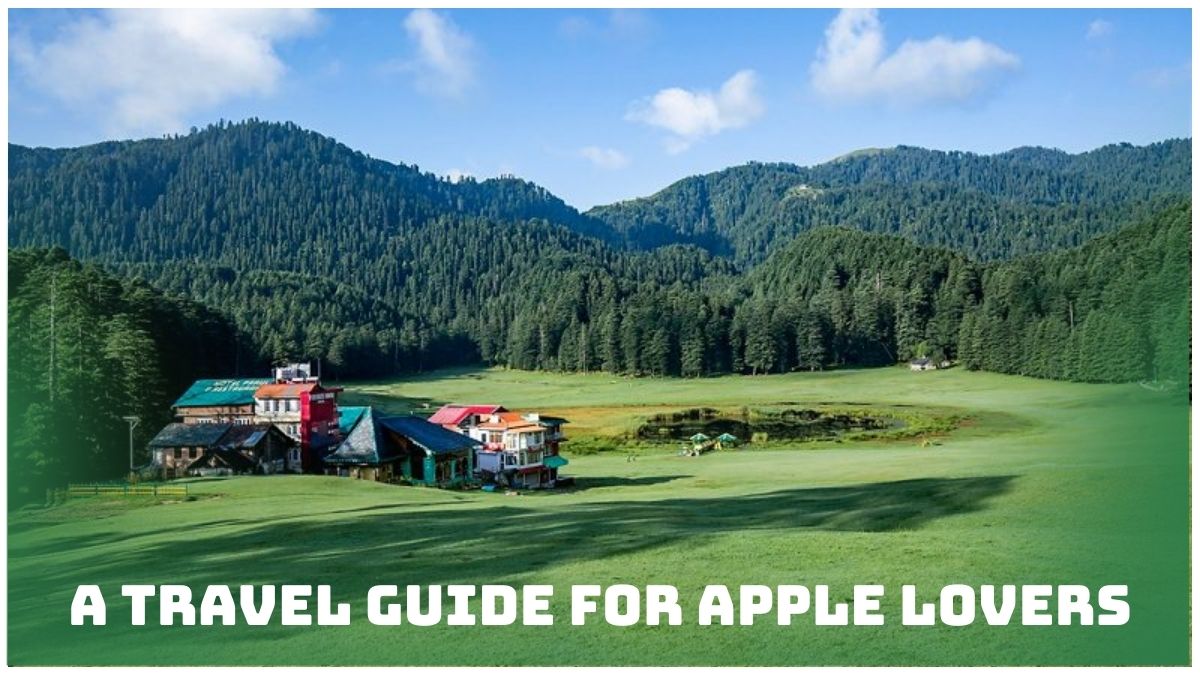 Exploring the Sweetness: A Travel Guide for Apple Lovers
