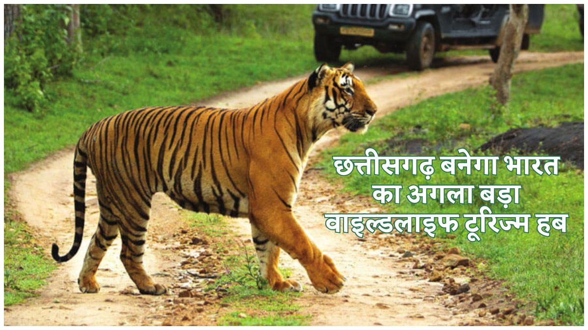 छत्तीसगढ़ बनेगा भारत का अगला बड़ा वाइल्डलाइफ टूरिज्म हब