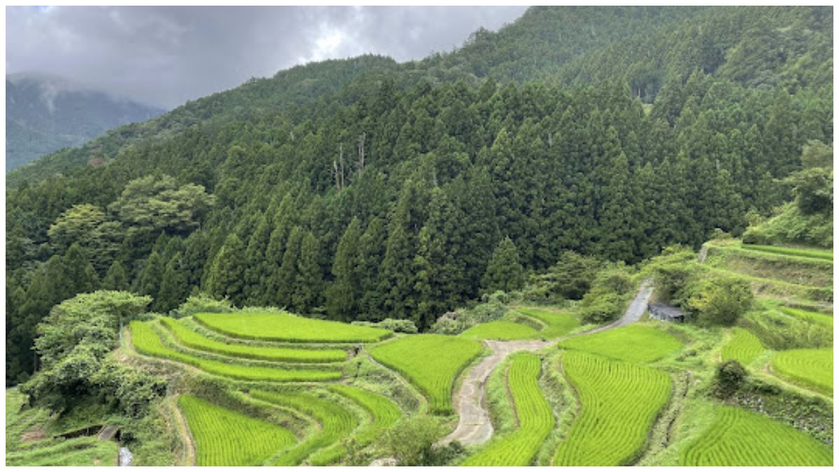 The Japanese town that hasn’t sent trash to a landfill since 2003 and how it did it