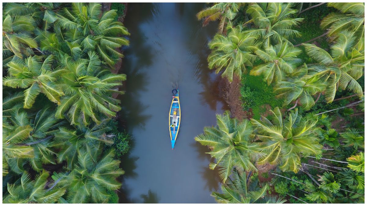 Top 5 Unusual Things You Didn’t Know You Could Do in Kerala