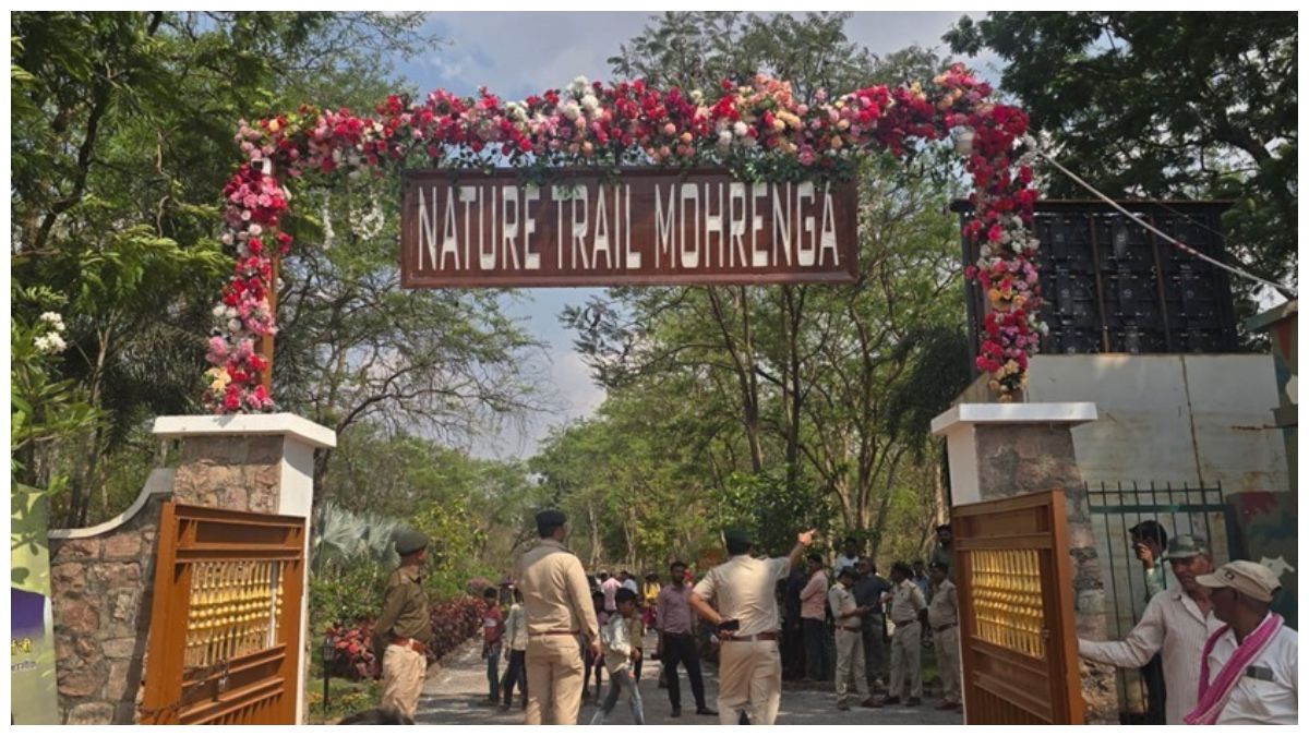 प्रकृति की गोद में रोमांच- मोहरेंगा नेचर सफारी