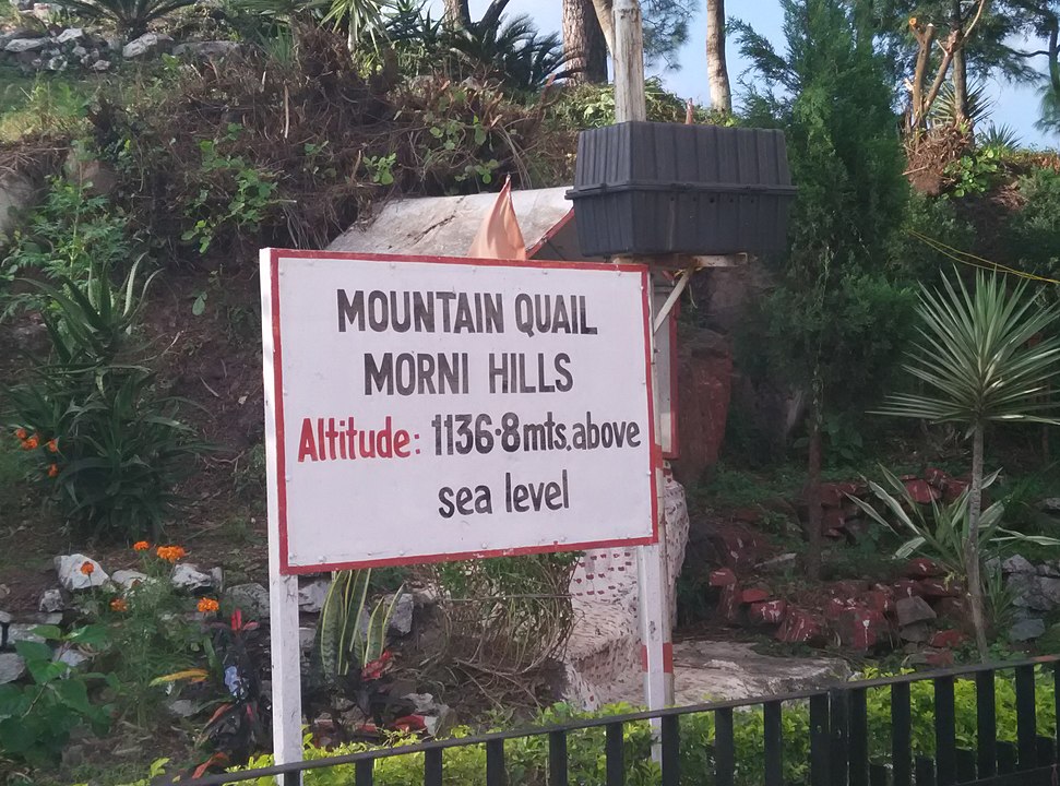 Morni hills