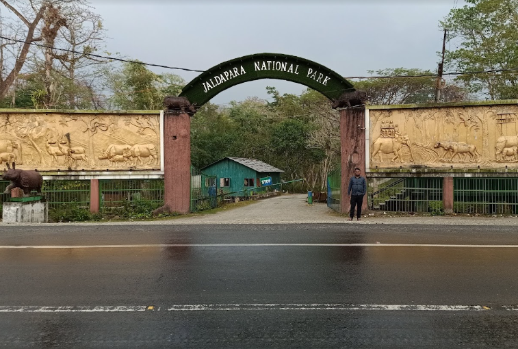 जलदापारा नेशनल पार्क में गैंडों का पर्यटकों पर हमला