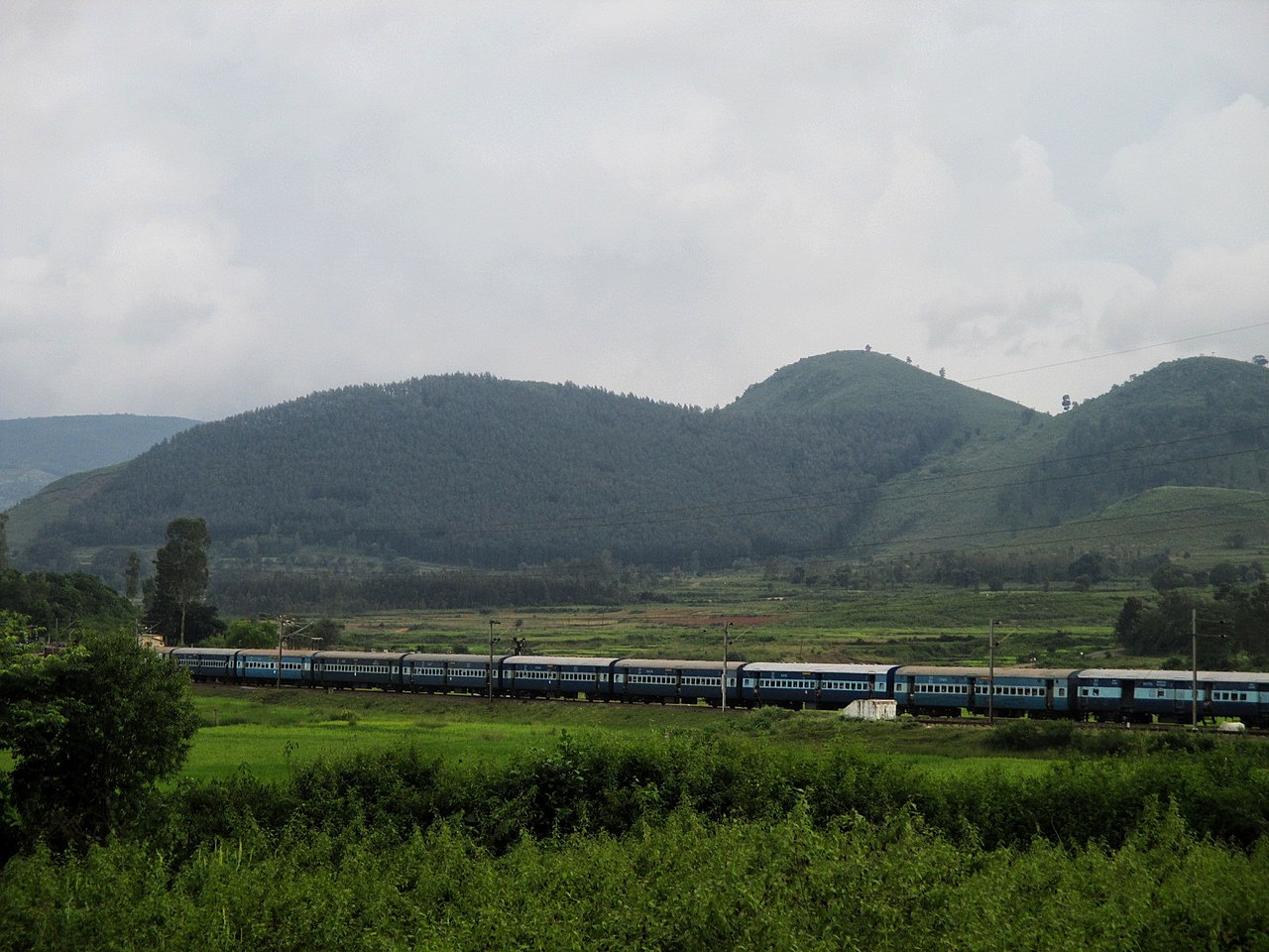 A_view_of_Araku_Valley,_a_hill_station_in_Visakhapatnam_district