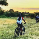 cycle-safari