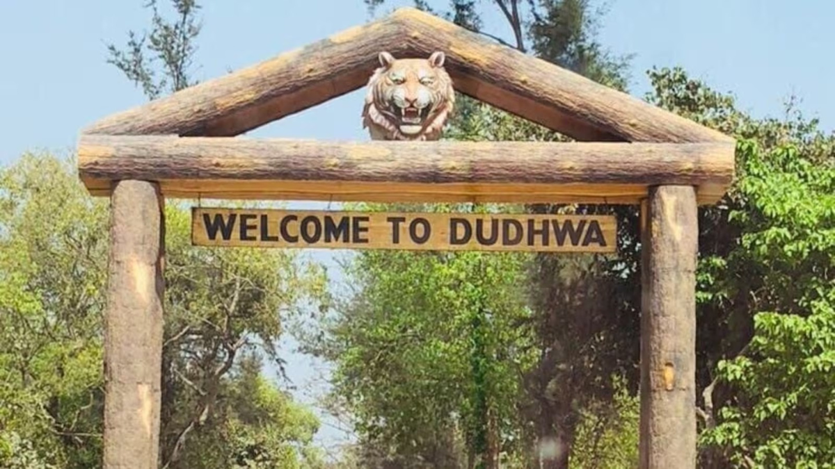 Dudhwa National Park: UP