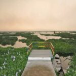 Punjab: Harike Wetlands