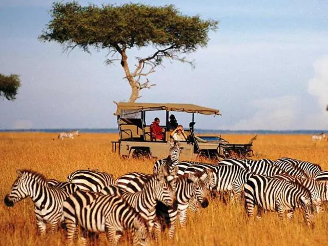 Kenya Announces Visa-Free Entry to Boost Tourism