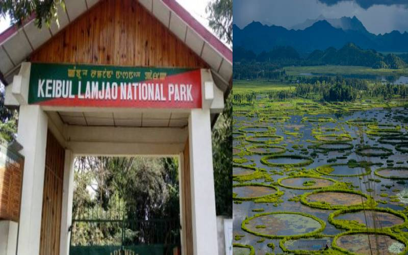 Loktak Lake - Discover the Wonders in Manipur